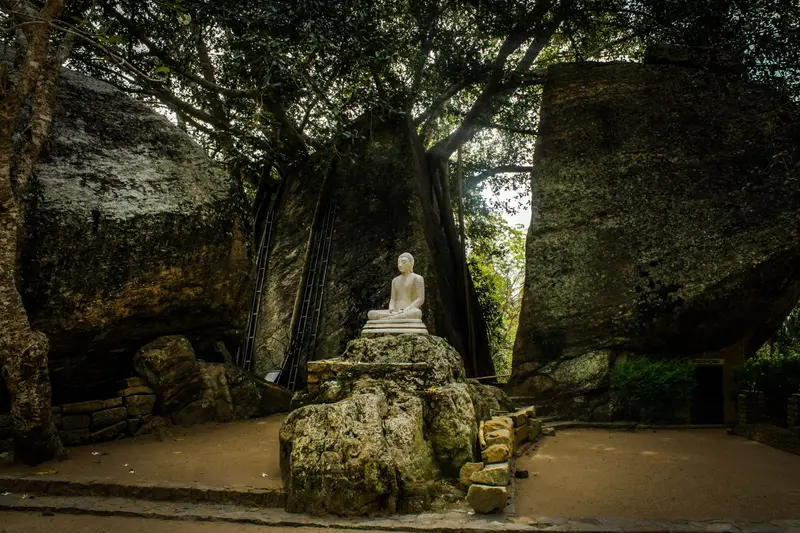 Meditation & Yoga