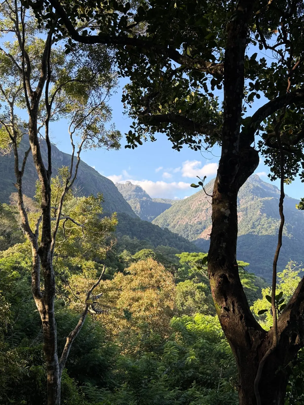 Knuckles Range