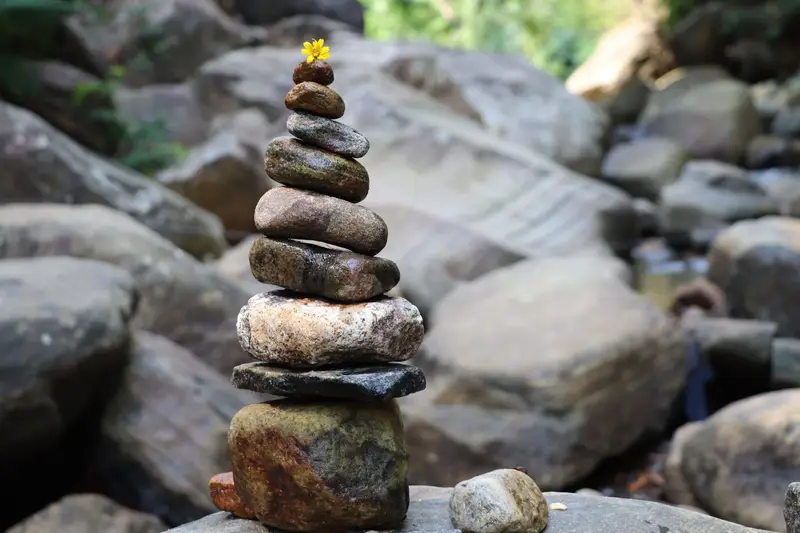 Meditation & Yoga