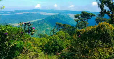 Horton Plains