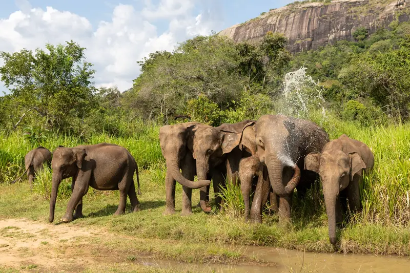 Wildlife & Nature