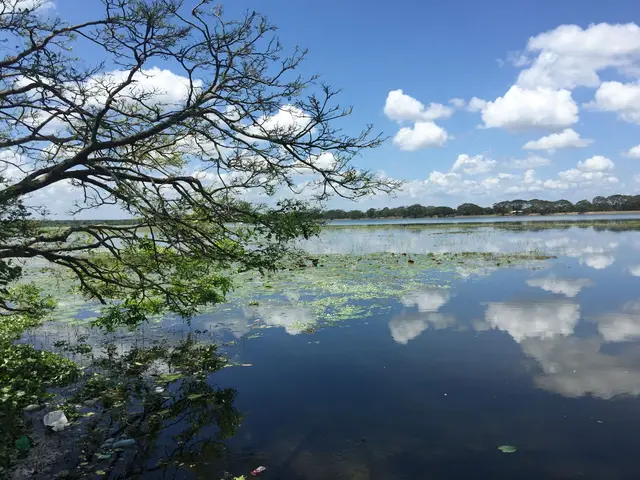 Anuradhapura