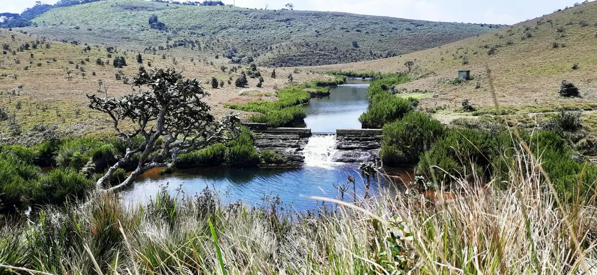 Horton Plains